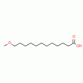 12-METHOXYDODECANOIC ACID SODIUM