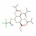 Methyl 2,3,4-Tri-O-isobutyryl-1-O-trichloroacetimidoyl-α-D-glucopyranuronate