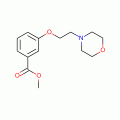 Methyl 3-(2-morpholin-4-ylethoxy)benzoate , 97%