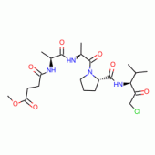 N-METHOXYSUCCINYL-ALA-ALA-PRO-VAL*CHLORO METHYL KETO