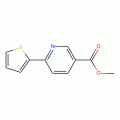 Methyl 6-thien-2-ylnicotinate , 97%