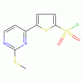5-（2-甲基硫代嘧啶-4-基）噻吩-2-磺酰氯