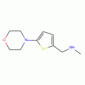 N-Methyl-N-[(5-morpholin-4-ylthien-2-yl)methyl]amine, 97%