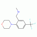 N-Methyl-2-morpholino-5-(trifluoromethyl)benzylamine, 97%