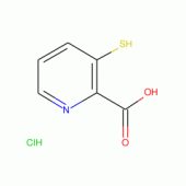 3-Mercaptopicolinic Acid, Hydrochloride
