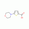 5-Morpholinothiophene-2-carboxylic acid , 97%