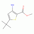3-氨基-5-叔丁基噻吩-2-羧酸甲酯