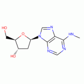 N-6-METHYL-2-DEOXYADENOSINE