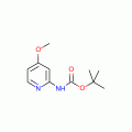 (4-Methoxy-pyridin-2-yl)-carbamic acidtert-butyl ester