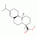 Methyl Dihydroabietate