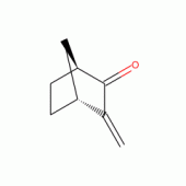3-METHYLENE-2-NORBORNANONE, 97%