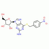 S-(4-NITROBENZYL)-6-THIOGUANOSINE (NBTG)  POTENT ADENOSINE TRAN