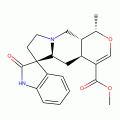 MITRAPHYLLINE(P)