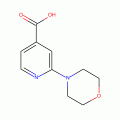 2-Morpholinoisonicotinic acid , 97%