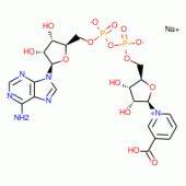 NICOTINIC ACID ADENINE DINUCLEOTIDE*SODI UM