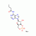 N6-MONOBUTYRYLADENOSINE 3':5'-CYCLIC*MON OPHOSPHATE