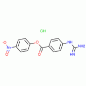 P-NITROPHENYL P'-GUANIDINOBENZOATE HCL