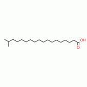 17-METHYLSTEARIC ACID