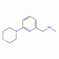 N-Methyl-N-[(6-morpholin-4-ylpyridin-2-yl)methyl]amine, 90%