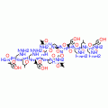 NEUROPEPTIDE Y ANTAGONIST