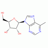 6-METHYLPURINE RIBOSIDE