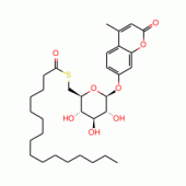 4-Methylumbelliferyl 6-Thio-palmitate-β-D-glucopyranoside