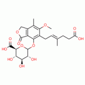 Mycophenolic Acid β-D-Glucuronide