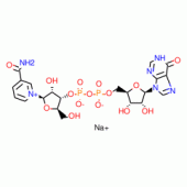 NICOTINAMIDE HYPOXANTHINE*DINUCLEOTIDE S ODIUM