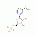 NICOTINIC ACID MONONUCLEOTIDE