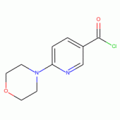 6-吗啉烟酰氯
