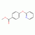 Methyl 4-(pyridin-2-yloxy)benzoate, 97%