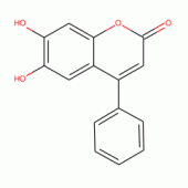 NORDALBERGIN(RG)