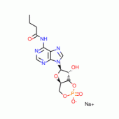N6-MONOBUTYRYLADENOSINE 3':5'-CYCLIC*MON OPHOSPHATE