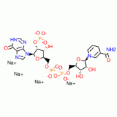 NICOTINAMIDE HYPOXANTHINE DINUCLEOTIDE*P HOSPHATE, R