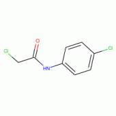 N1-(4-氯苯基)-2-氯乙酰胺