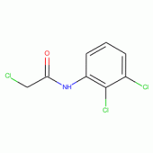 N1-(2,3-Dichlorophenyl)-2-chloroacetamide , 97%