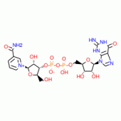 NICOTINAMIDE GUANINE DINUCLEOTIDE*SODIUM