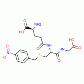 S-(P-NITROBENZYL)GLUTATHIONE