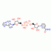 NICOTINAMIDE 1,N6-ETHENOADENINE*DINUCLEO TIDE