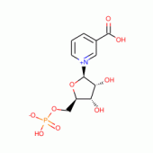 NICOTINIC ACID MONONUCLEOTIDE