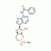 N-6-BENZOYLADENOSINE 3-5-CYCLIC MONOPHOS PHATE FREE ACID CRYST