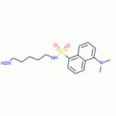 MONODANSYLCADAVERINE CRYSTALLINE