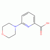 6-吗啉吡啶-2-甲酸