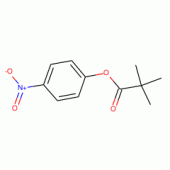 三甲基乙酸对硝基苯酯C11H13NO4