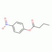 4-硝基苯丁酸酯