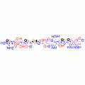 NEUROMEDIN U-25