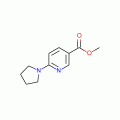 Methyl 6-(1-pyrrolidinyl)nicotinate , 97%