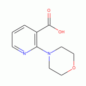 2-吗啉烟酸