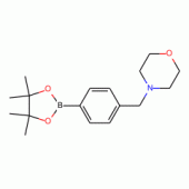 4-(4-Methylmorpholine)benzeneboronic acid, pinacol ester