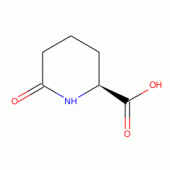 L-6-Oxo-pipecolinic acid